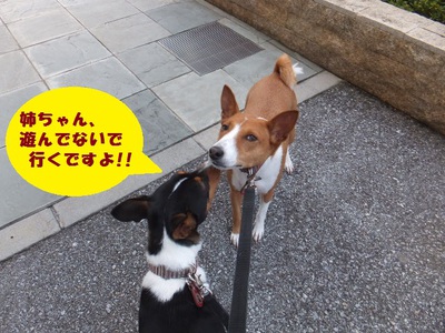 暑くなってくると。。