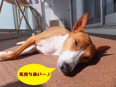 首。。