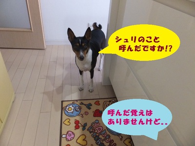 暑さに負けず食欲旺盛！！