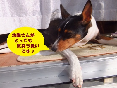 梅雨の晴れ間～！！
