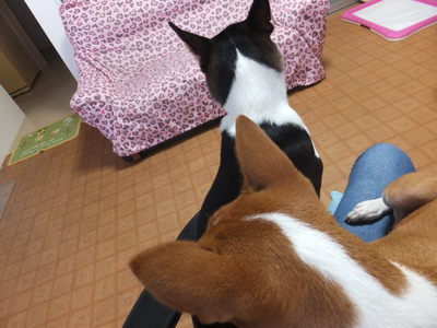 ルビーさんの顔ったら・・・（笑）