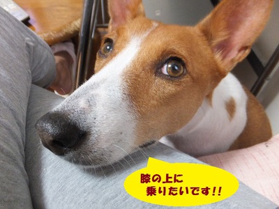 大潮で高潮。。