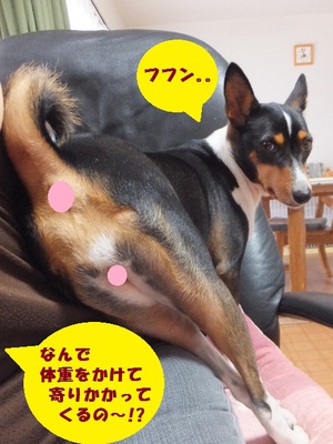 半年なんてあっという間（＾＾；