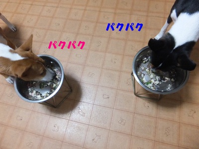 フラれた～（＾＾；