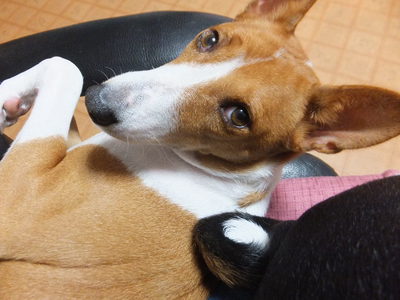 横着するから顔が・・・（笑）