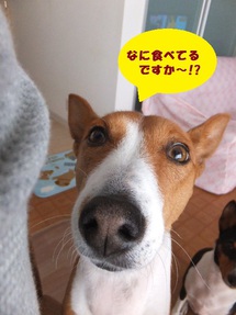 3%でも・・・。。