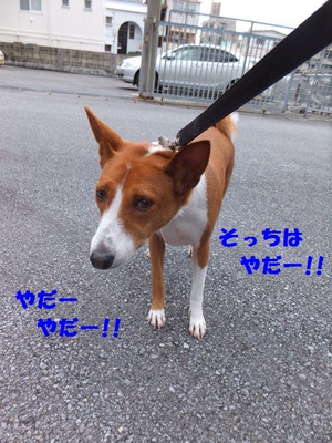 雨だったけど。。