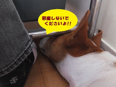 首。。