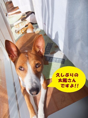 梅雨の晴れ間♪