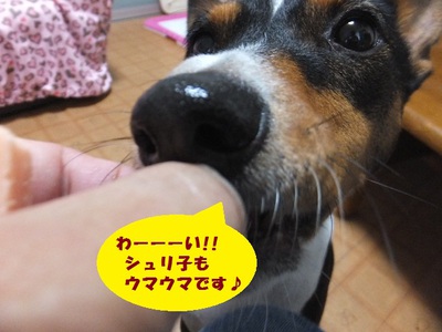 雨雨降れ降れ。。