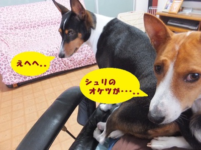 ルビーさんの顔ったら・・・（笑）