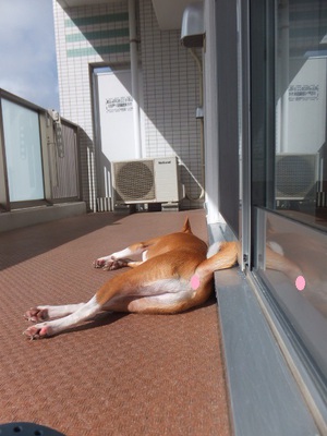 台風が来るよ・・・(**)