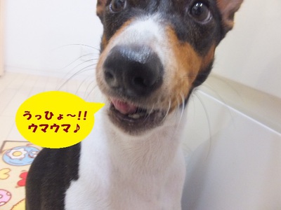 台風の後。。