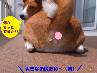 シミ・ソバカス。。