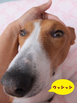 ホラーな寝顔解禁（笑）