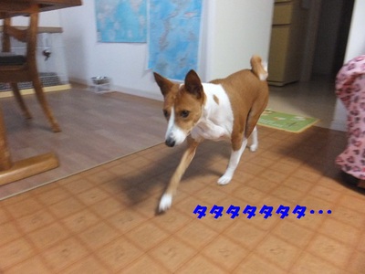 シュリの方が一枚上手（笑）