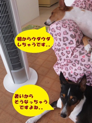 あぢぃ・・・。。