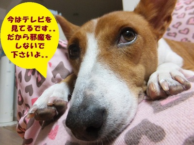 フラれた～（＾＾；