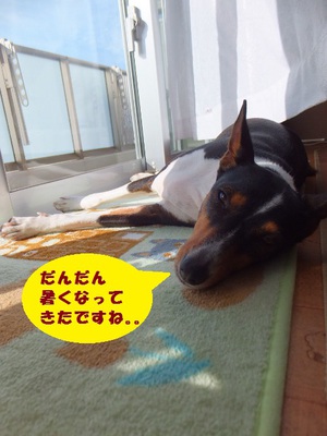 梅雨の晴れ間♪
