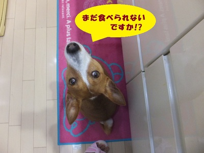ウマウマ♪