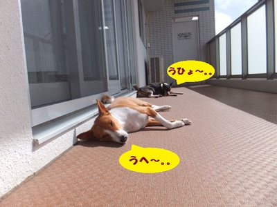 台風が来るよ・・・(**)