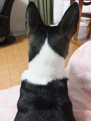 月曜日のいろいろ。。
