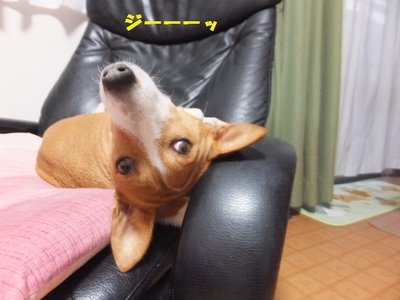 横着するから顔が・・・（笑）