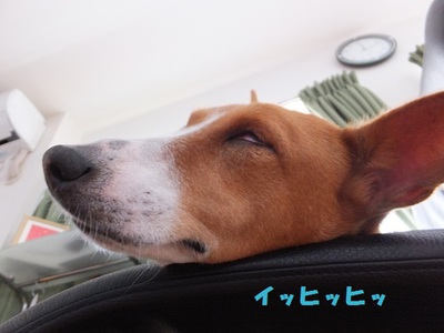 相変わらずのふたりなり～。。
