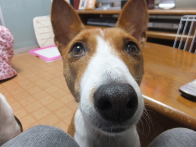 あぢぃ・・・。。