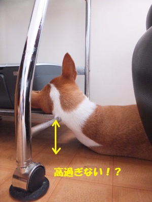 月一のウマウマ♪