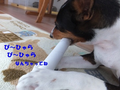 日曜日はのんびりと（＾＾）