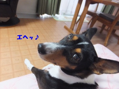 月曜日のいろいろ。。