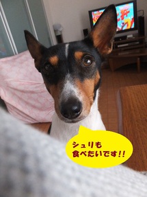 3%でも・・・。。