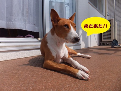 お日様の出待ち♪