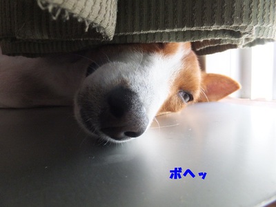 暑くなってくると。。
