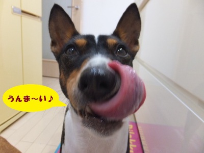 強風。。