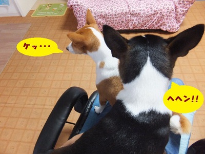 シュリの方が一枚上手（笑）
