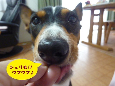 とりあえず、体調復活～。。