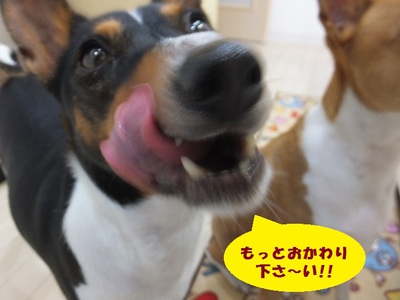 暑さに負けず食欲旺盛！！