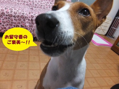 雨雨降れ降れ。。