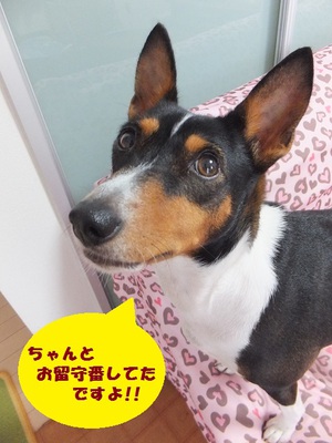 梅雨の晴れ間～！！