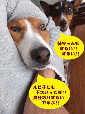 3%でも・・・。。