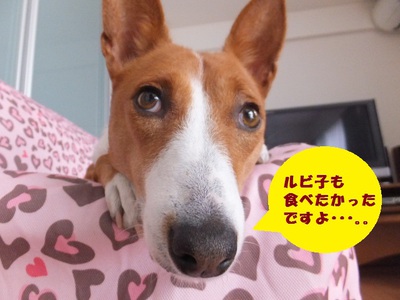 ナーベラー。。