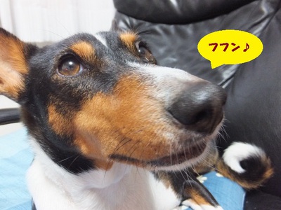 シュリの方が一枚上手（笑）