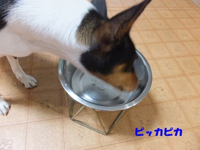 熱帯夜が続く～。。