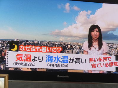あぢぃ・・・。。