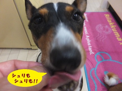 長いおあずけ！？（笑）