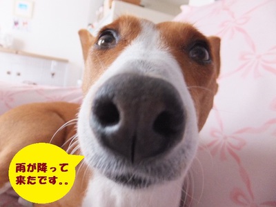 3%でも・・・。。