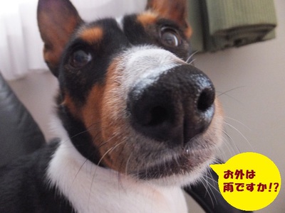 3%でも・・・。。