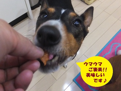 梅雨の晴れ間～！！